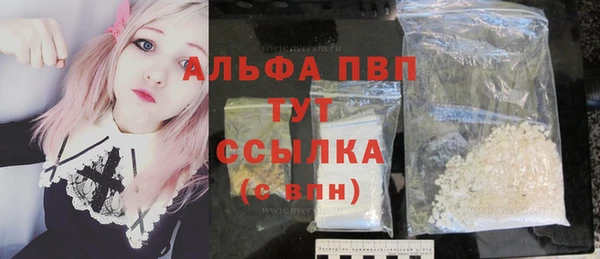 гидра Белокуриха