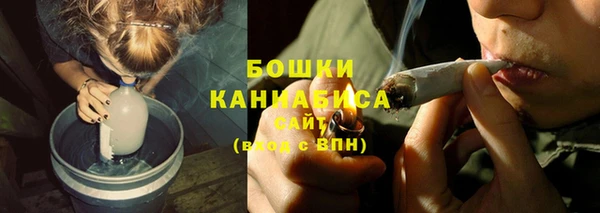 гидра Белокуриха
