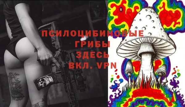 крисы Белоозёрский