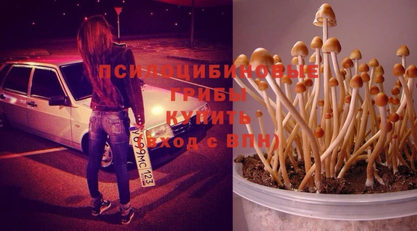 крисы Белоозёрский