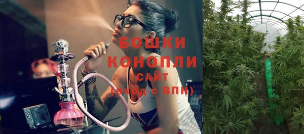 крисы Белоозёрский