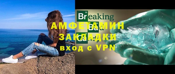 гидра Белокуриха